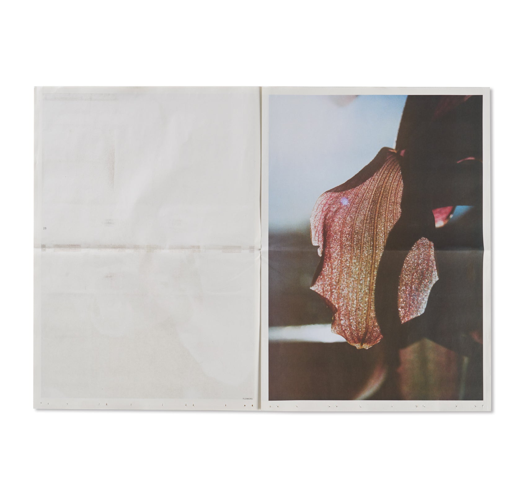 FLOWERS by Lina Scheynius – twelvebooks