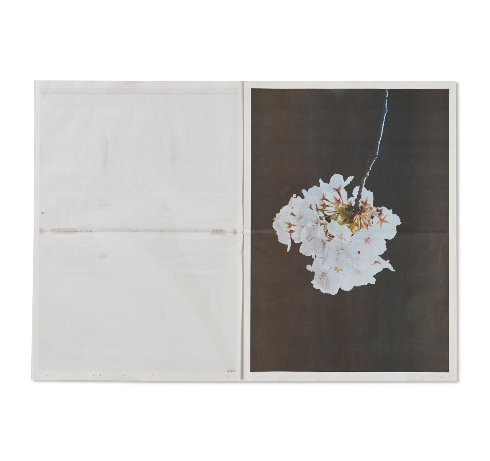 FLOWERS by Lina Scheynius – twelvebooks