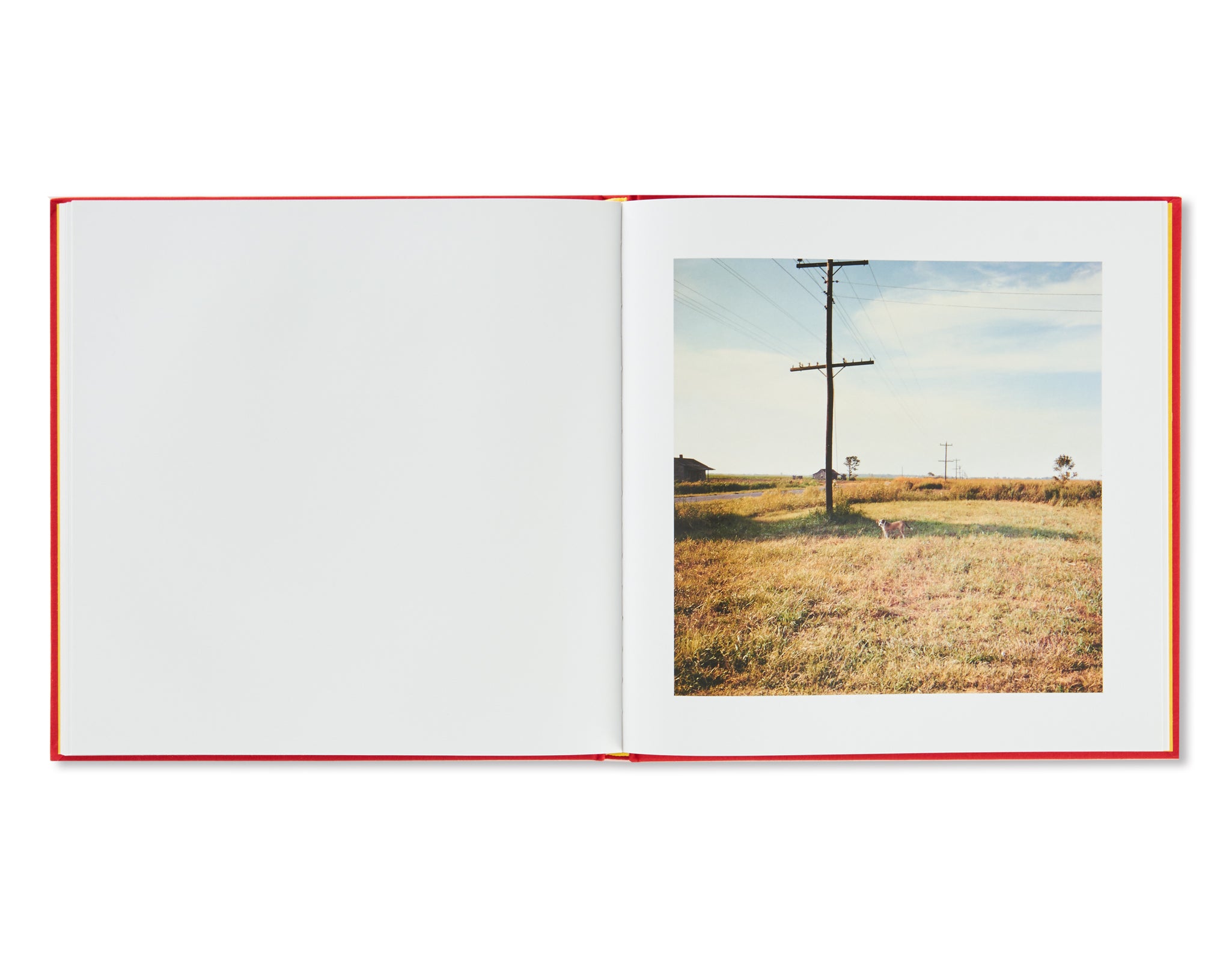 2 1/4 by William Eggleston – twelvebooks