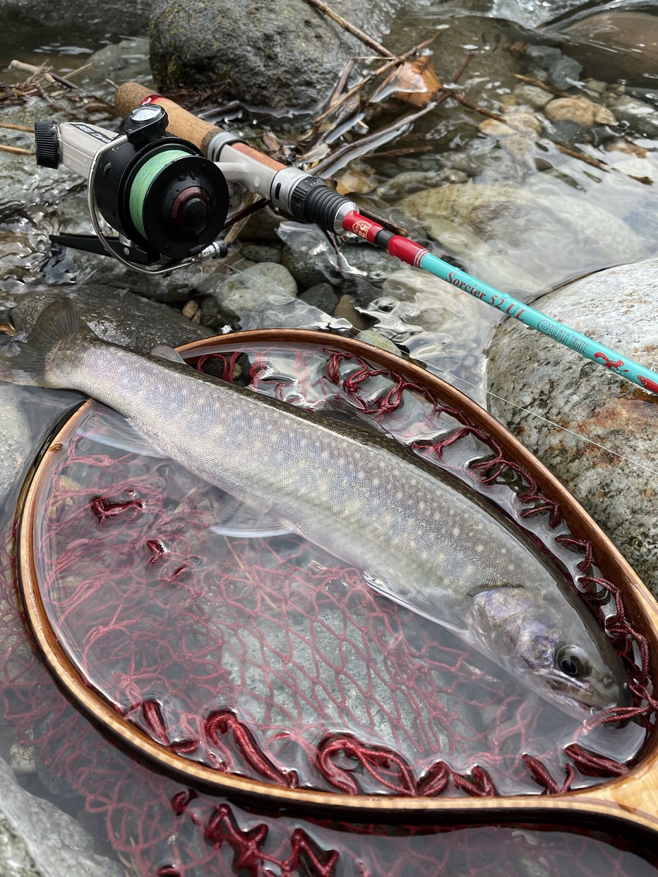 TULALA | Ford every stream | » 【公式】渓流スピニング “ソルシエ