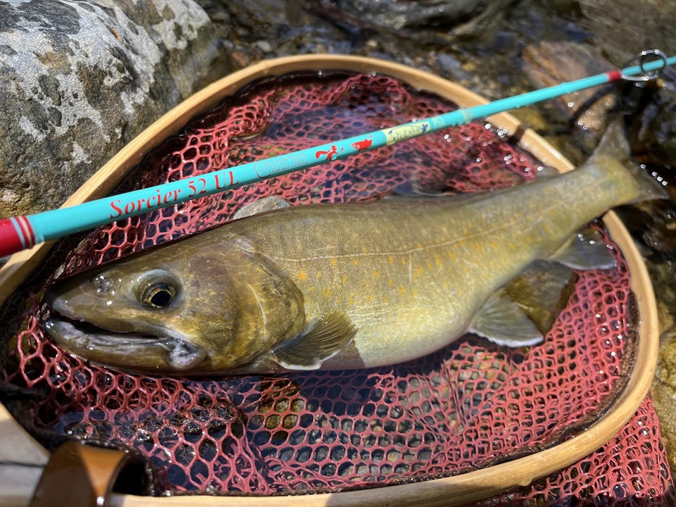 TULALA | Ford every stream | » 【STAFF】ソルシエ52ULの汎用性を再