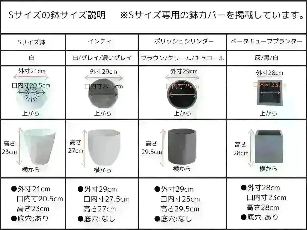 ホワイト XXSサイズ 約65cm NO.10444 オリーブの木 - 株式会社鶴亀園