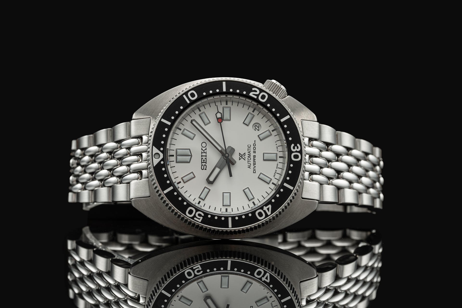 SlimTurtleBoR-1.jpg?v=