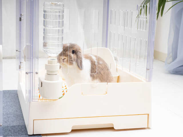 新スタイル「GEX ラビング クリアメゾン120」モデルさんの声