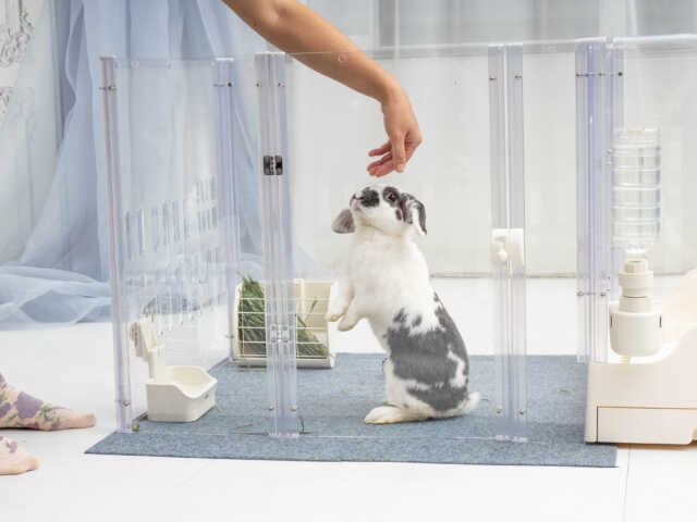 新スタイル「GEX ラビング クリアメゾン120」クローズアップ編｜USAKURA