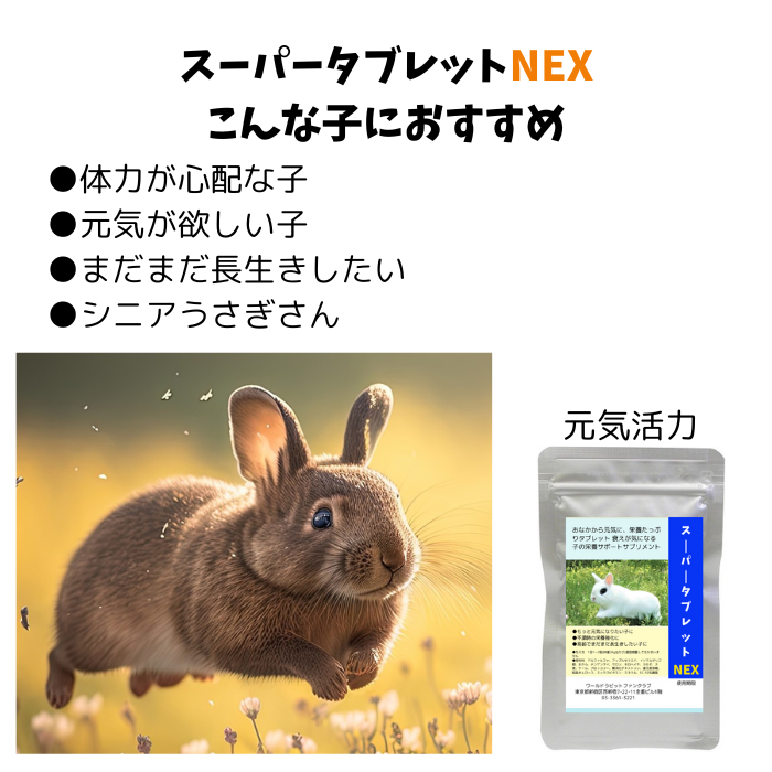 栄養強化、元気活力 スーパータブレットNEX