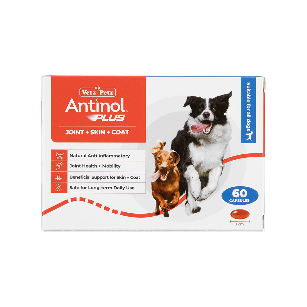 アンチノールプラス60カプセル通販｜サプリメント｜犬｜ペットのお薬