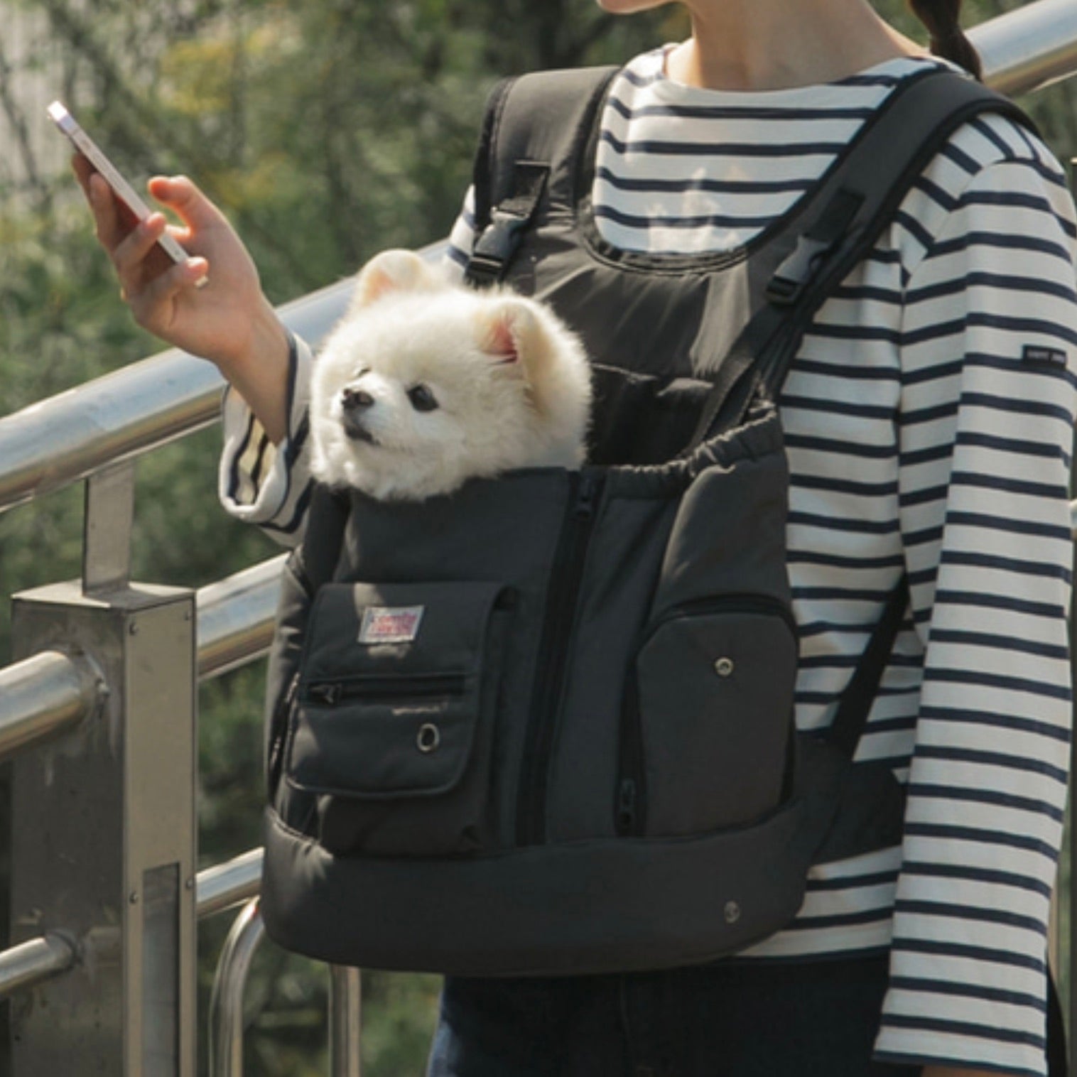 海外犬服 高品質なインポートのドッグウェア通販 