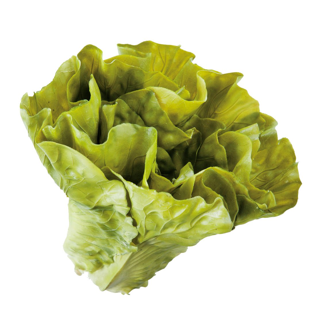 1-457599.jpg?v=1682593328