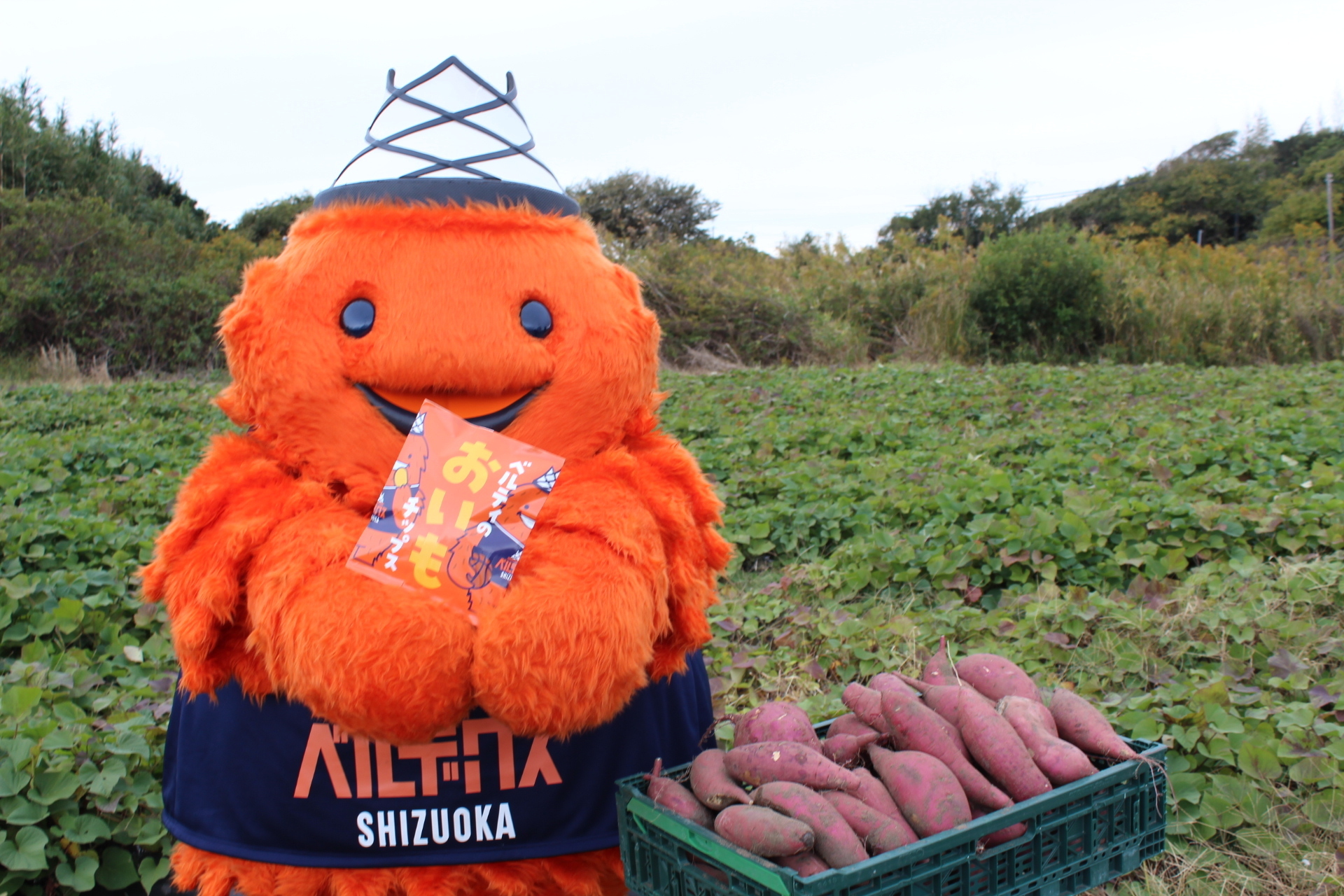 新商品】ベルティのおいもチップス 販売のお知らせ！ | 【公式