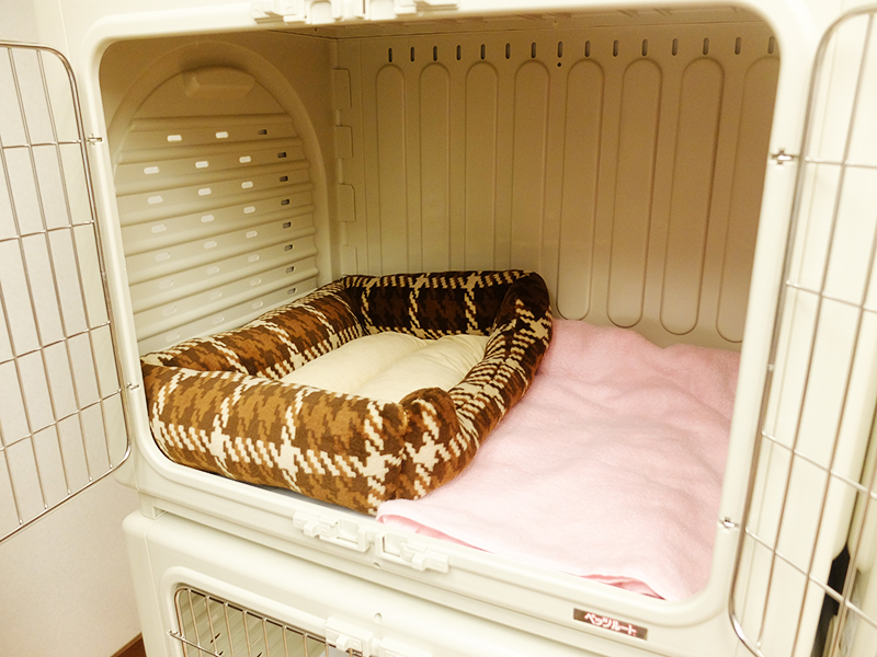 ペットホテル - 三鷹、調布のトリミングサロン・ペットホテル ペット