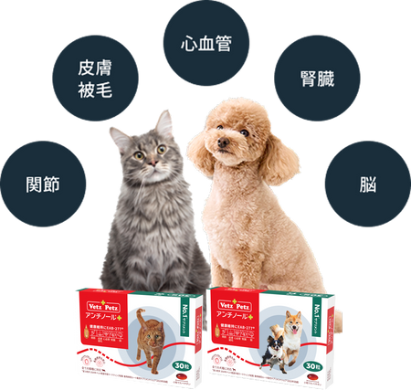 アンチノール | 動物病院取扱いNo1サプリメント– ベッツペッツ公式サイト