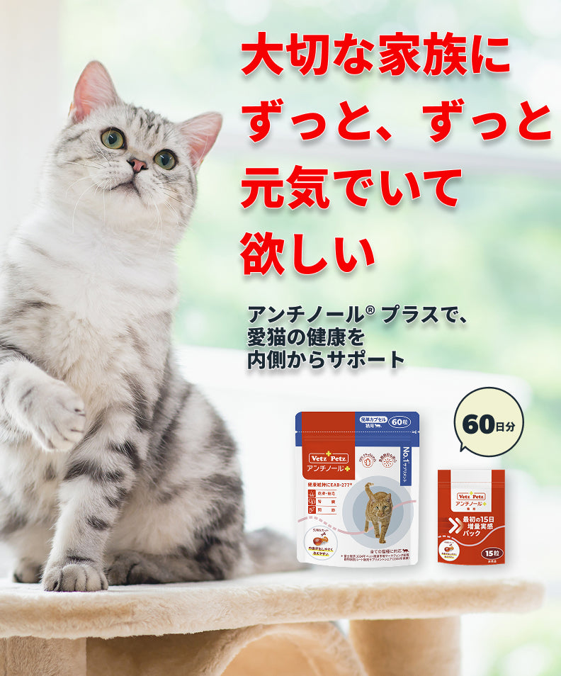初回購入特典】60日スターターキット（簡単カプセル 猫用