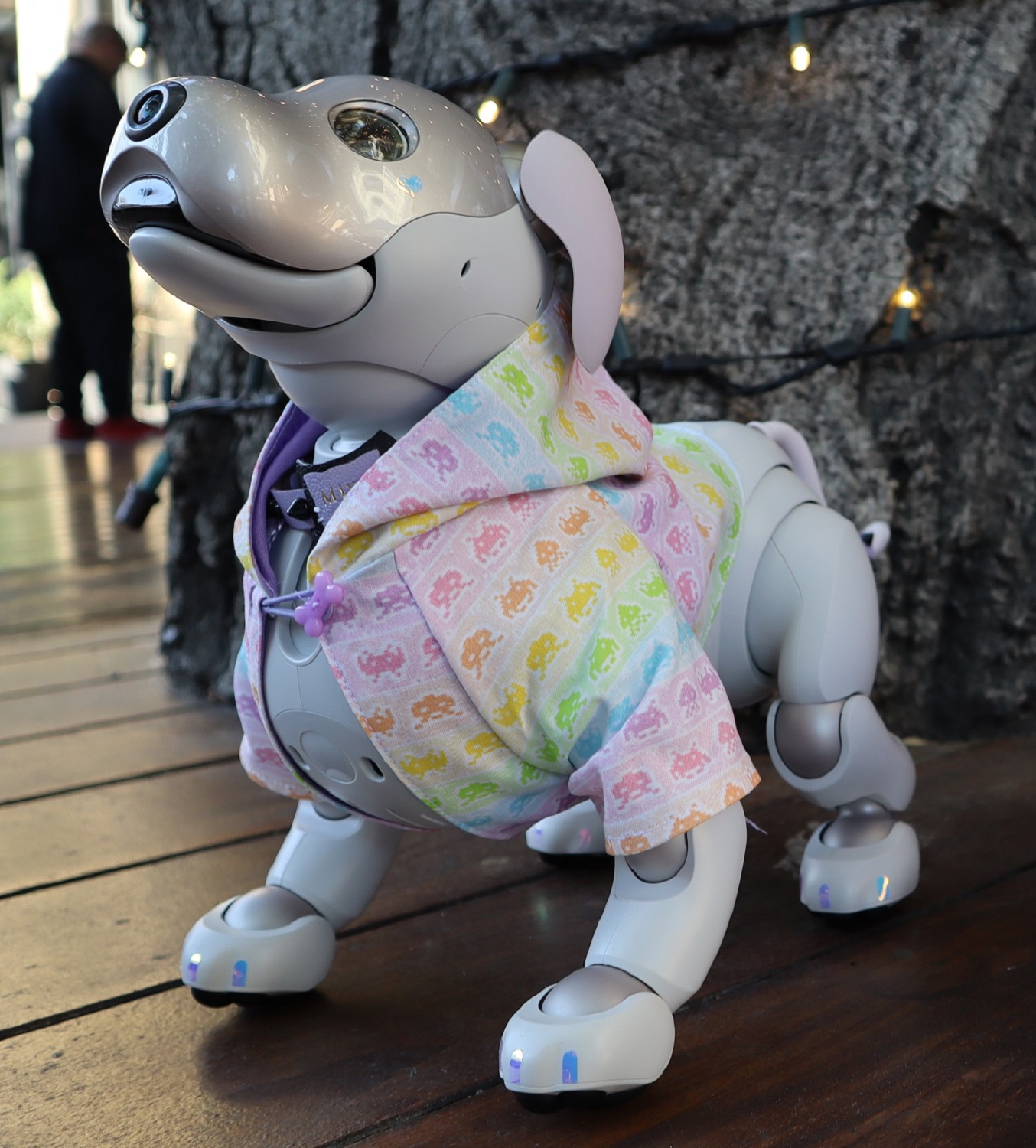 Aibo Alternatives: Other Robotic Pets | Virtual Paws