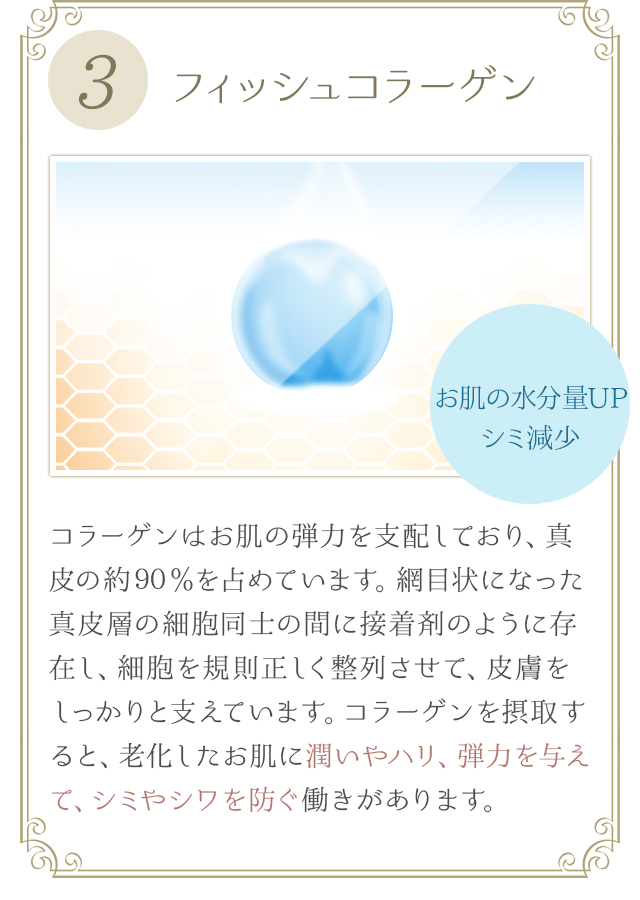 株式会社ワムのDMK stick