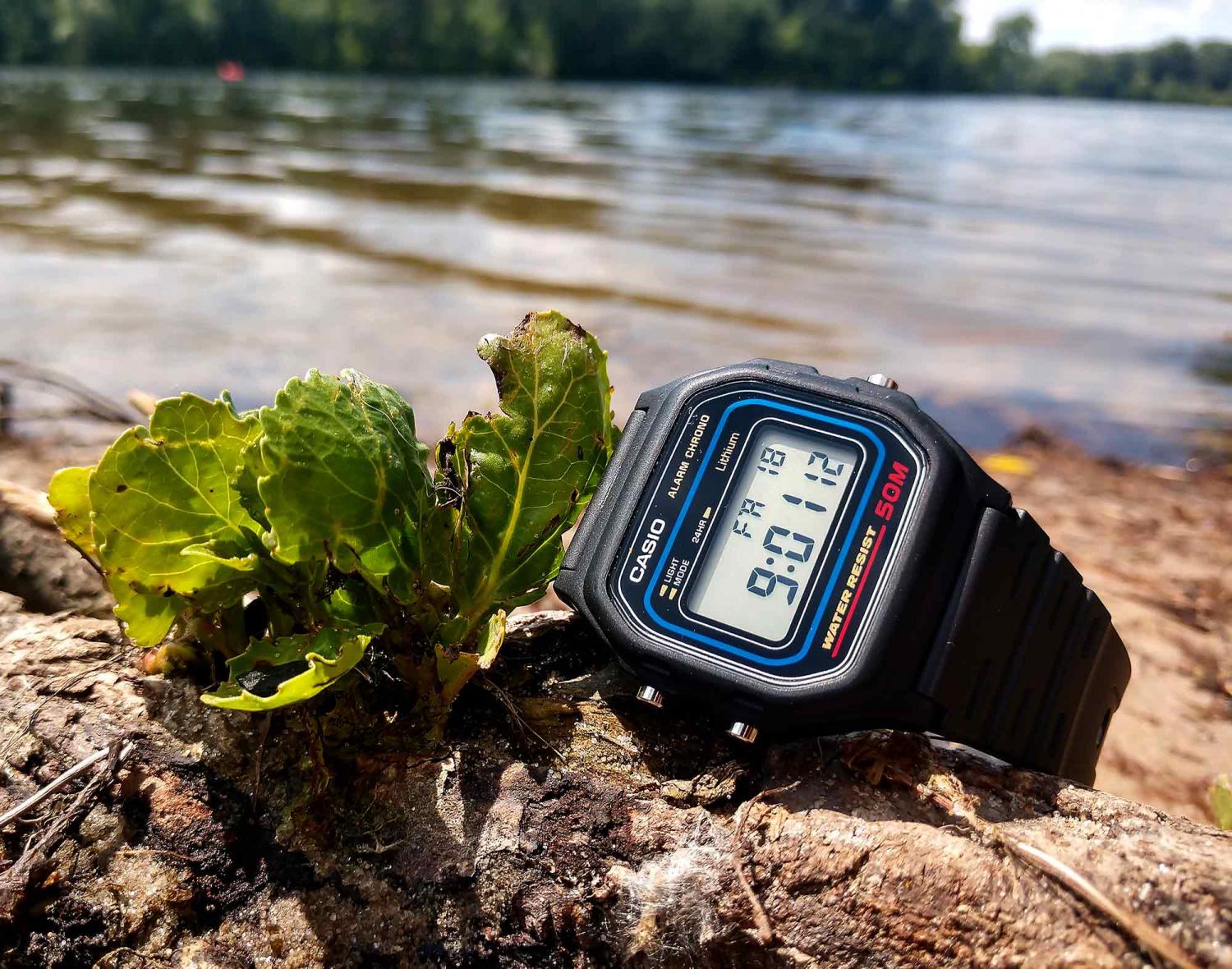 Купить Часы W-59-1VQES - Дизайн 1989 г. + WR50M | CASIO