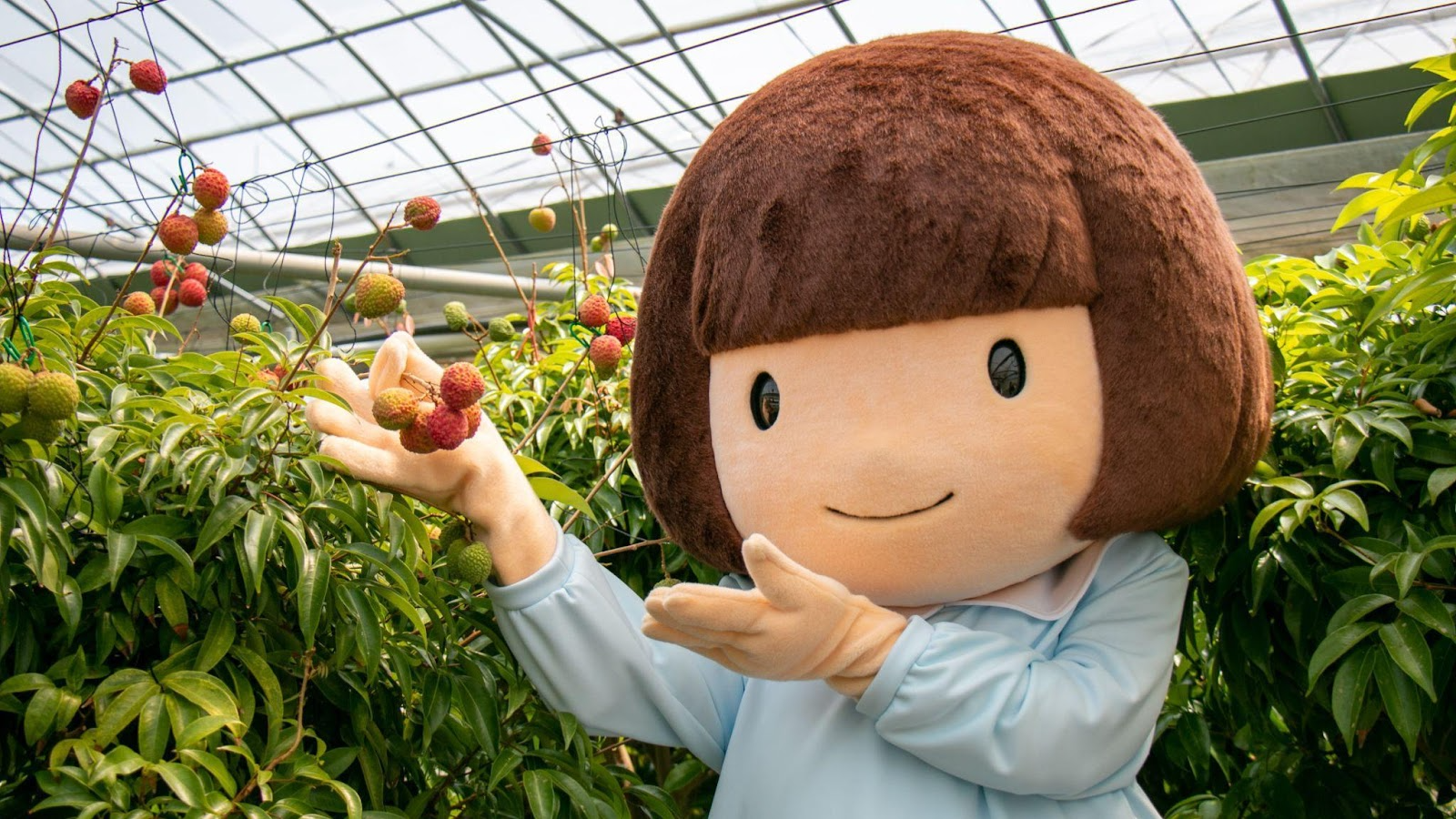 宮崎の小さな町から世界へ！おとみちゃんが伝える“挑戦心”と新富町の