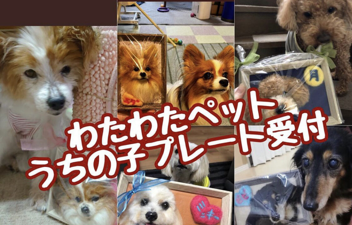 2023年10月＊更新【わたわたペットの分身の術】オーダー受付