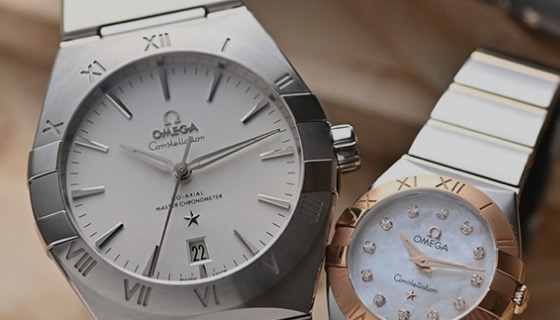 シャネル カメリア ブローチ ダイヤ1.99ct シルバー J11189 K18