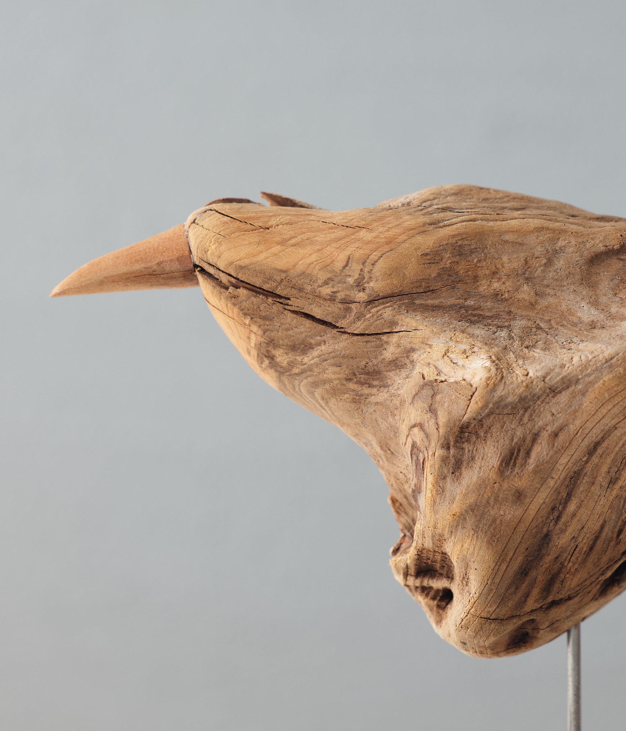 流木の鳥｜針原修