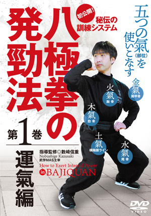 中国武術 | DVDカテゴリー | 武道・武術の総合情報サイト WEB秘伝