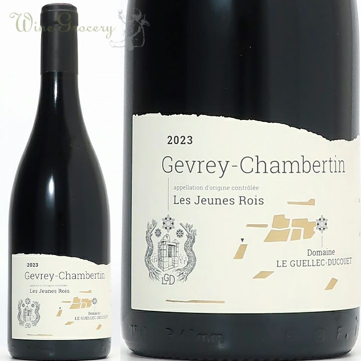 フィリップ・ル・アルディ ジュヴレ・シャンベルタン 2019 | ワイン