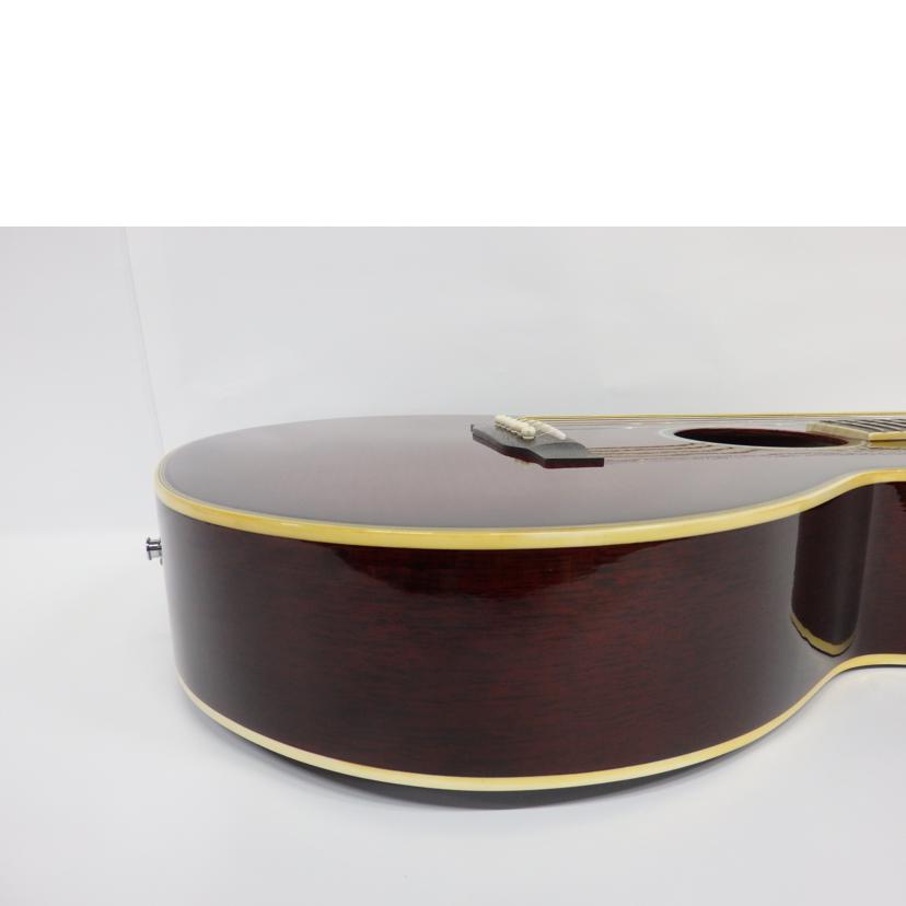 Pro Martin プロマーチン/楽器｜REXT ONLINE 公式通販サイト