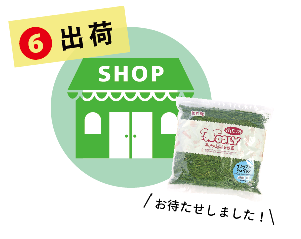 イタリアンライグラスヤング - 株式会社ウーリー｜うさぎの食彩工房