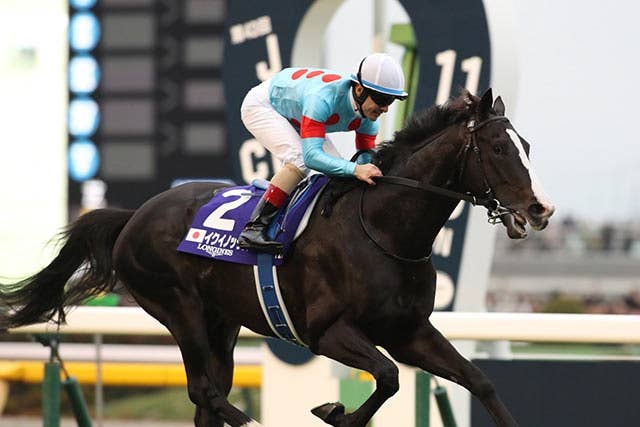 イクイノックス（Equinox） | 競馬データベース | JRA-VAN World
