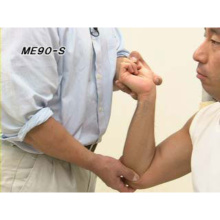 カイロプラクティック｜動画教材｜3B Scientific