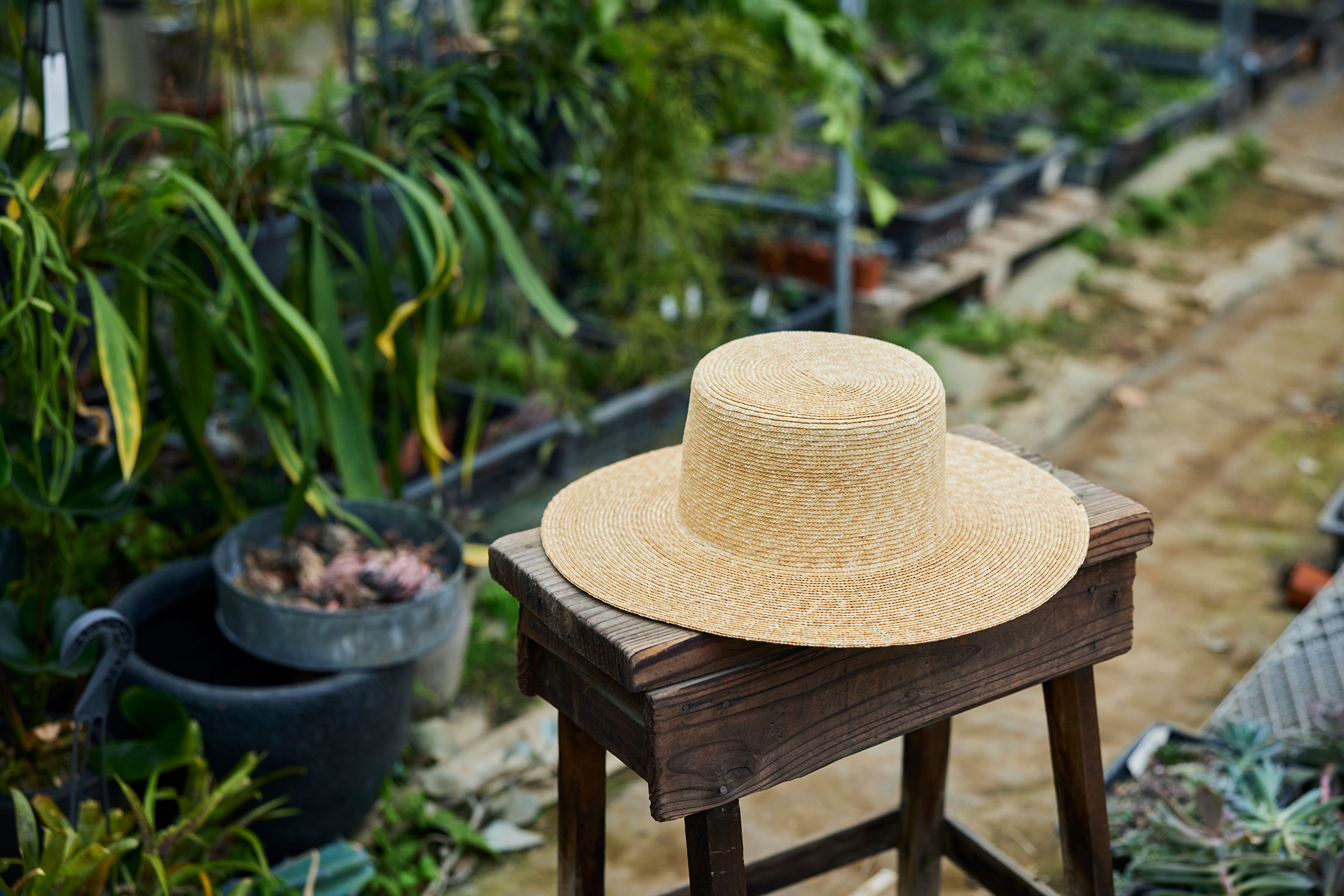 おすすめ 03 wicagroceryの麦わら帽子 | 8人めのゲスト solxsolさん