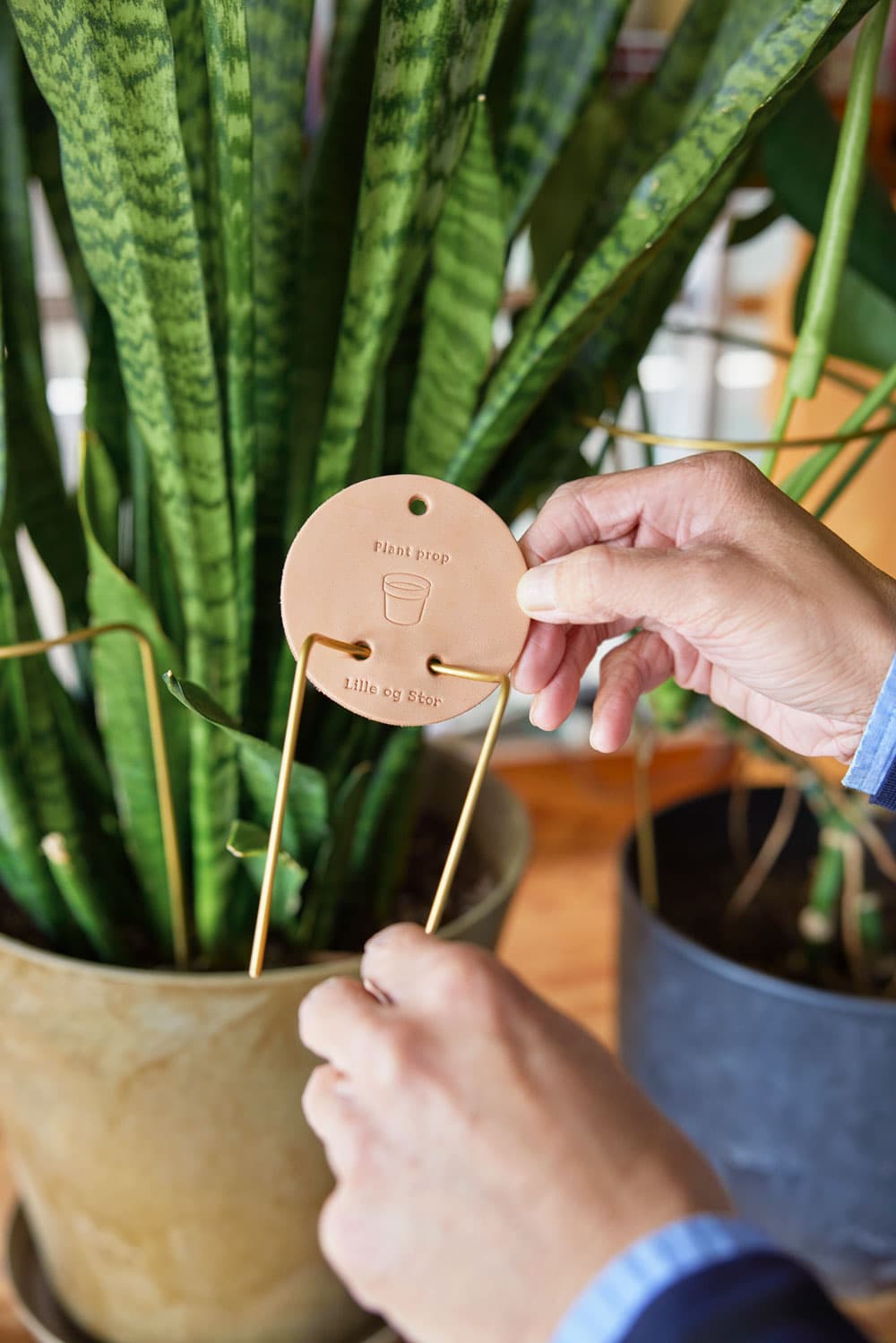 おすすめ 01 観葉植物セット | 5人めのゲスト 塚本 太朗さん