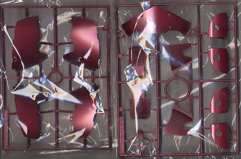 MS-09RS シャア専用リック・ドム エクストラ・フィニッシュVer. (HY2M