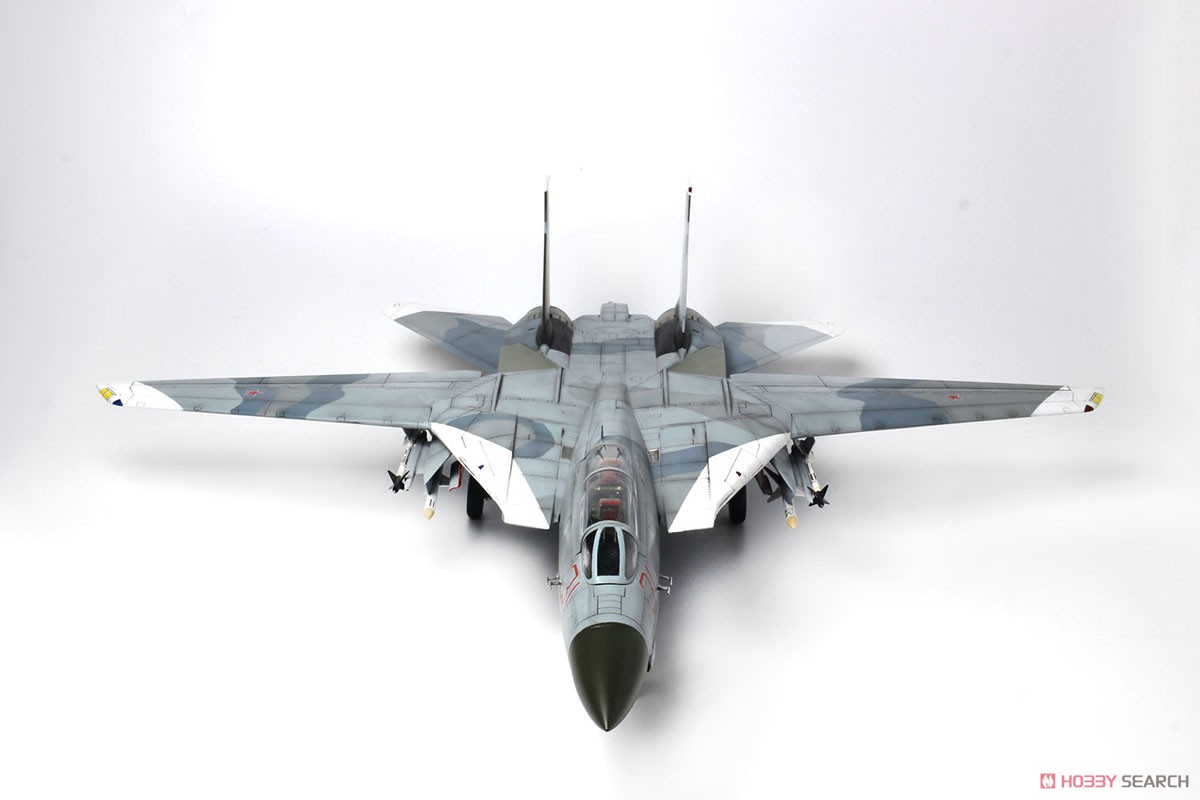 F-14Aトムキャット アメリカ海軍戦闘機兵器学校 `トップガン