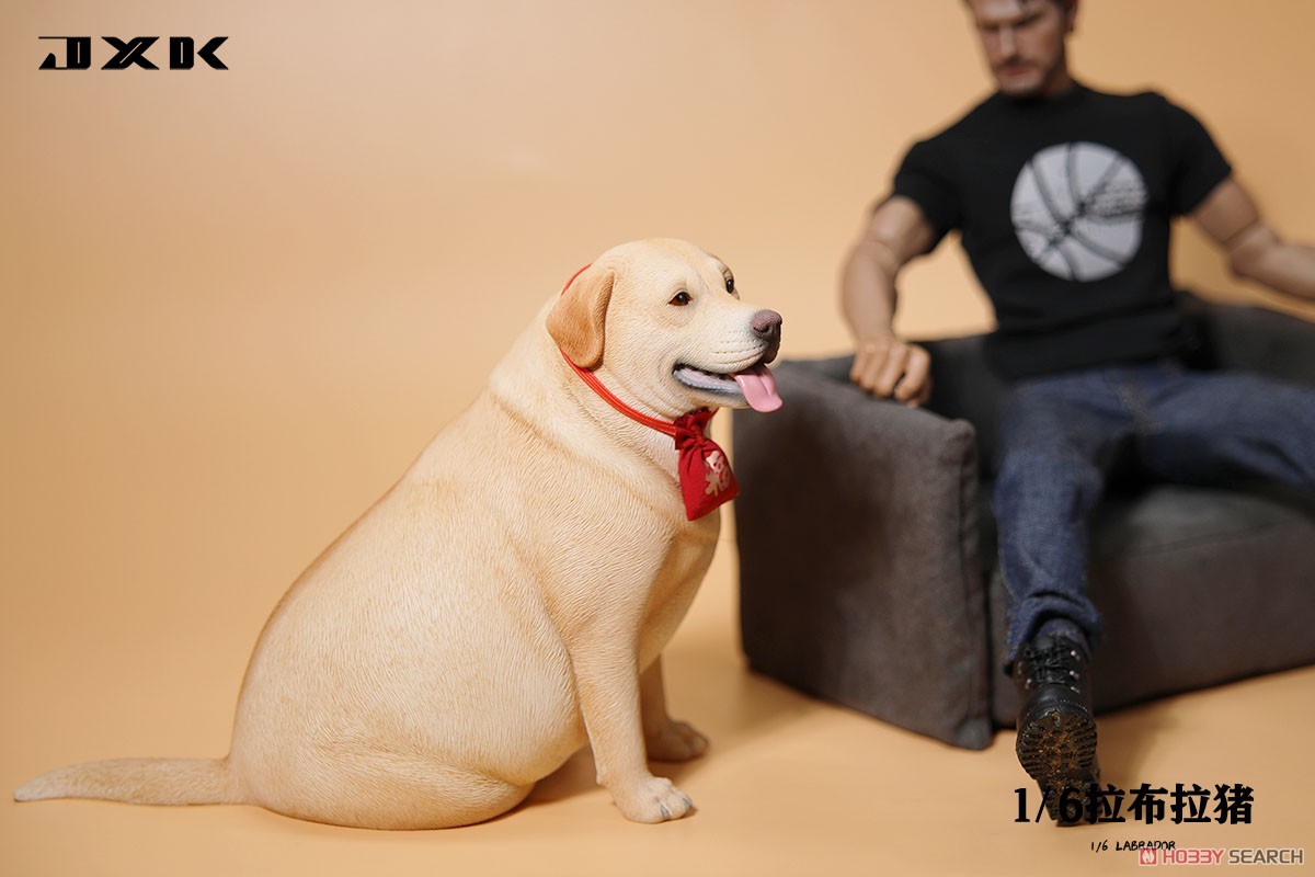 ぽっちゃりラブラドール C (ドール) - ホビーサーチ ドール