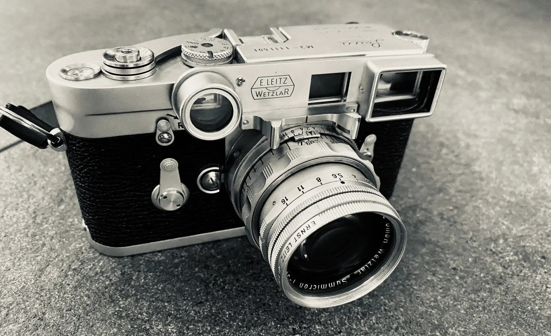 5 Frames with the Leica Summicron 50 Dual Range at closest focus