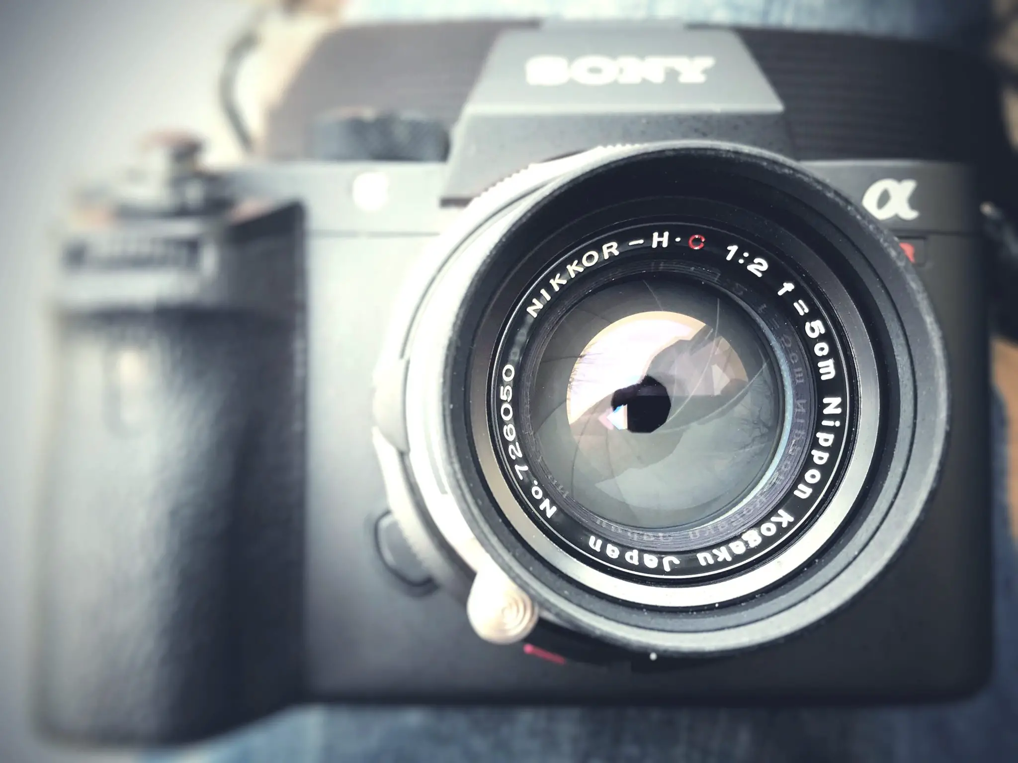 5 frames with a Nikon Nikkor HC 5cm f/2 ltm on a Sony A7RII - By