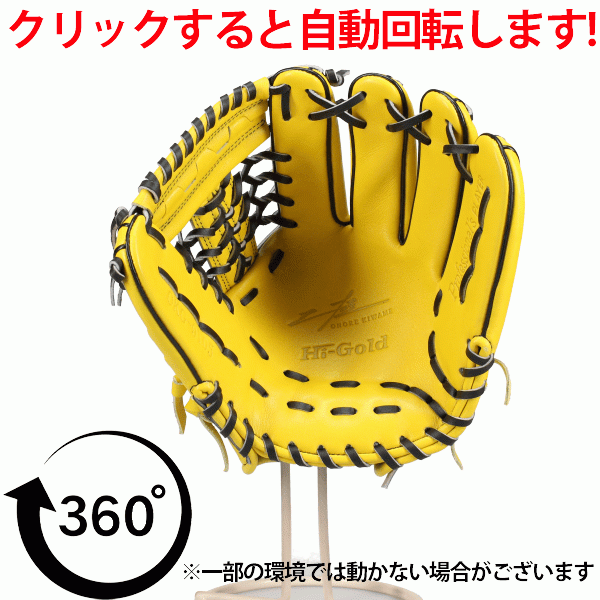 野球 グローブ 軟式 ハイゴールド 己極 軟式グローブ グラブ 軟式用 内