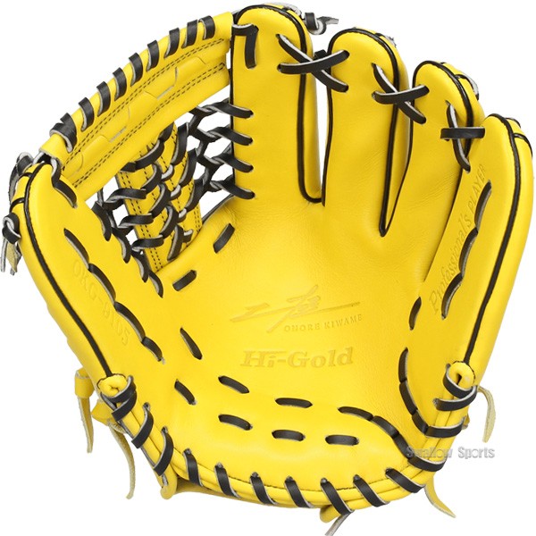 野球 グローブ 軟式 ハイゴールド 己極 軟式グローブ グラブ 軟式用 内