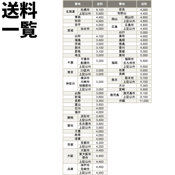 特別送料】 【返品・キャンセル不可】 オーブ ピッチングマシン 2