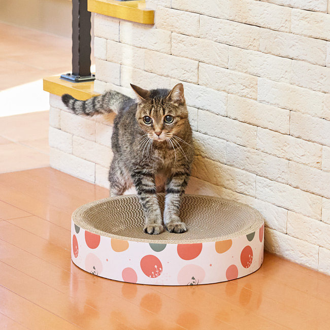 猫のツメトギ ねこまるまる ボンビアルコン 可愛い 爪とぎ ベッド ( 猫