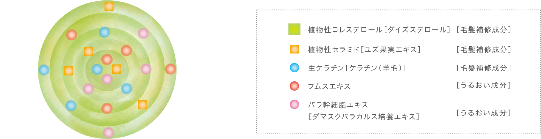 ベース｜コタクチュール｜コタ株式会社