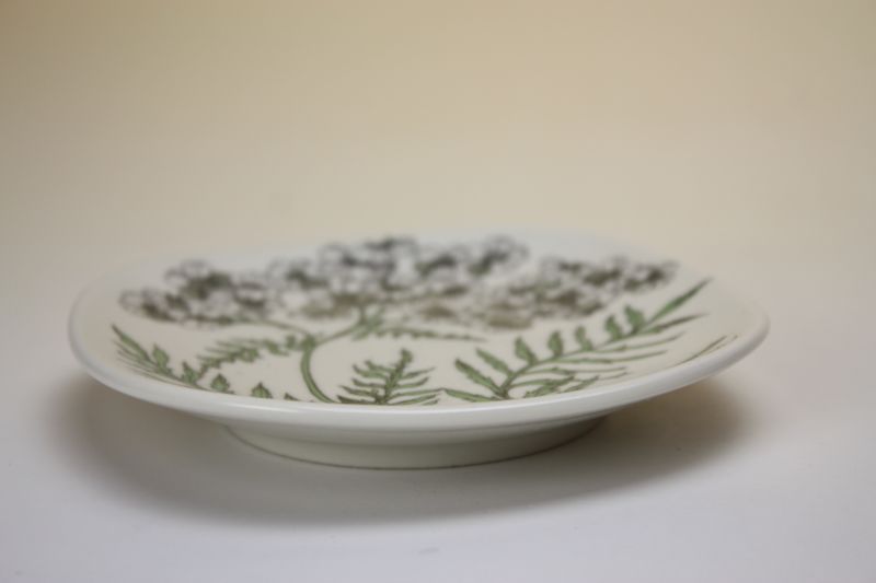 ARABIA Botanica achillea Esteri Tomula/アラビア ボタニカ ウォール