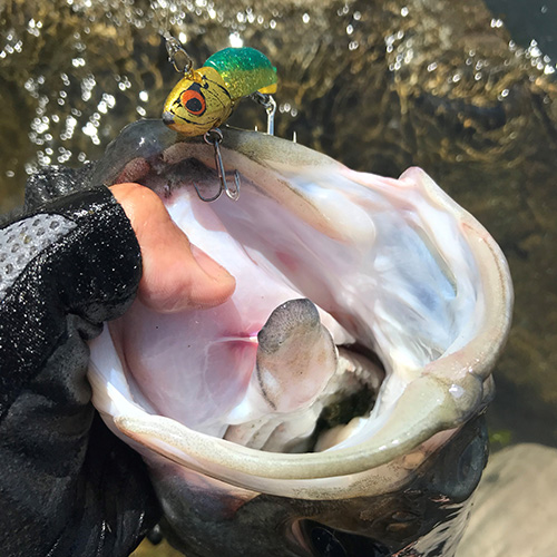 VJ-16 VIBRATIONJIGHEAD | COREMAN - コアマン公式サイト | デイゲーム