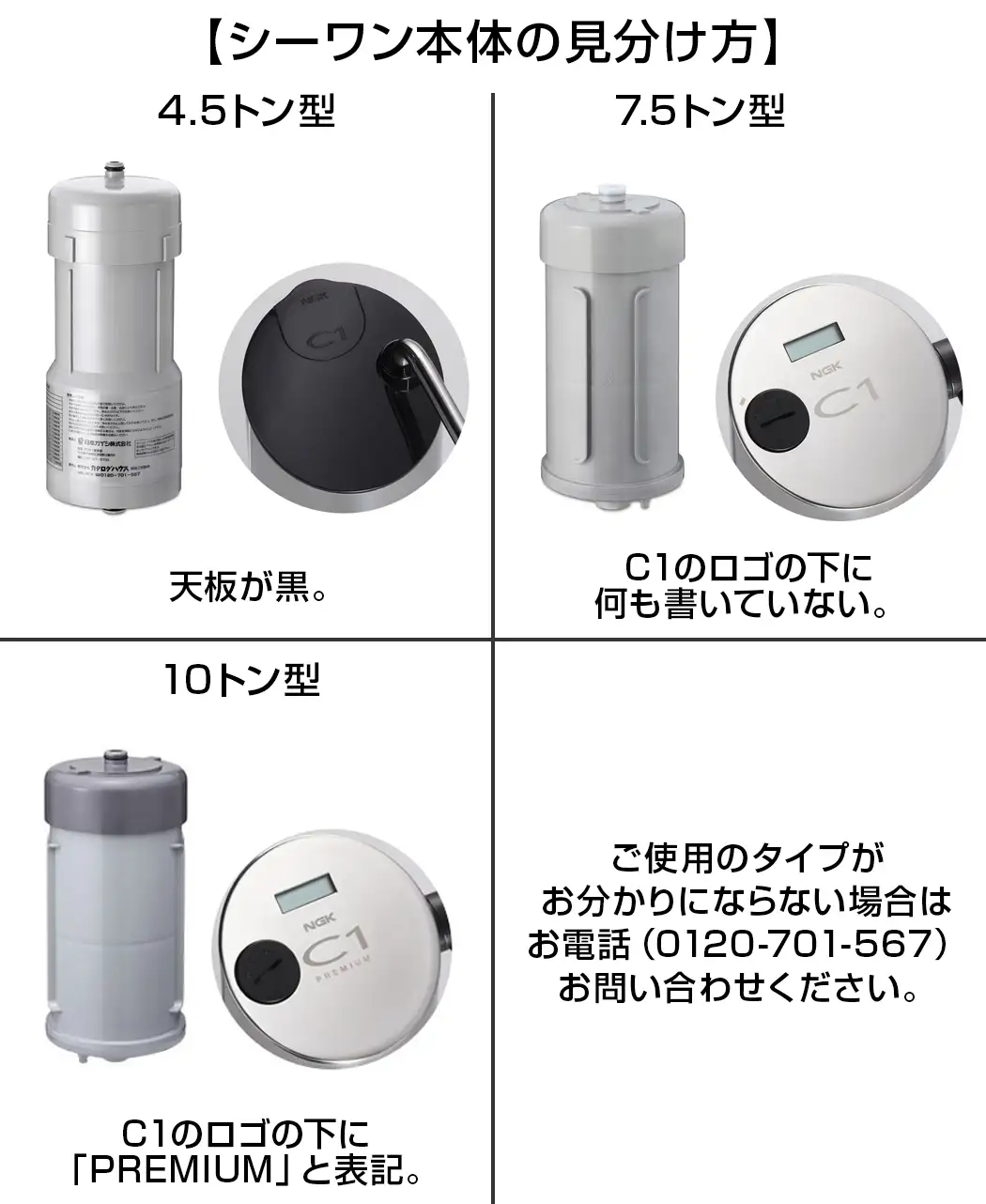 回帰水C1（2本セット） 【公式通販】