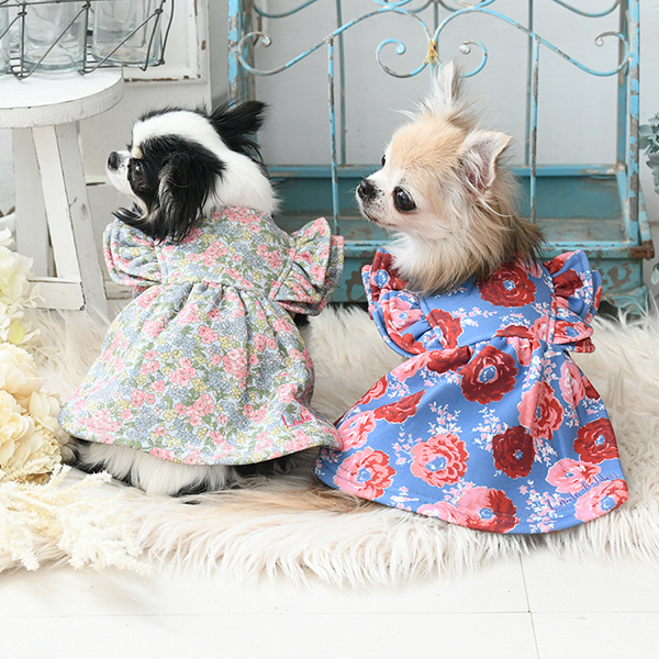 LAURA ASHLEY（ローラアシュレイ）裏起毛ダブルフリルワンピース | 犬
