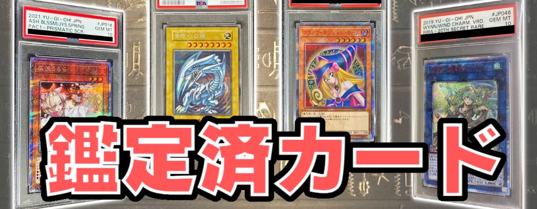 PSA10鑑定済〕ブラックフェザードラゴン【プリズマティック