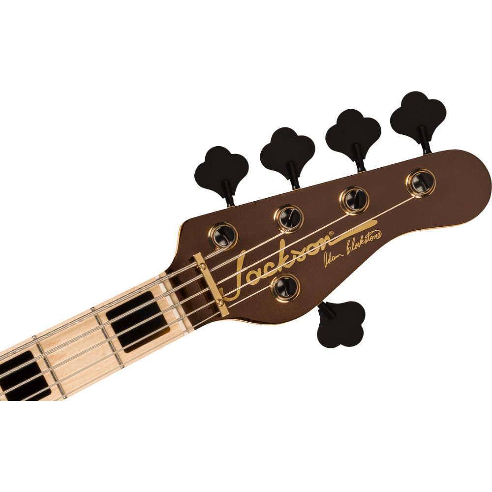 Jackson ジャクソン Pro Series Signature Adam Blackstone The Gladys