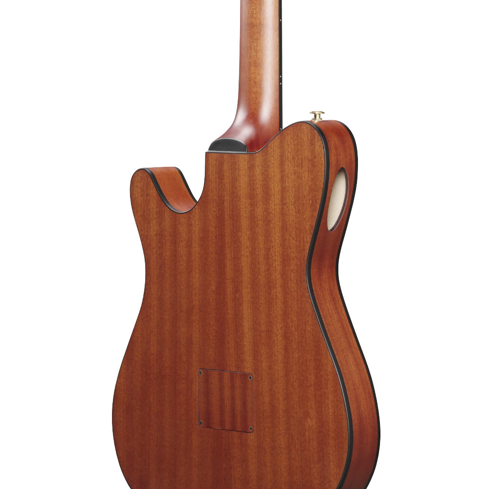 IBANEZ アイバニーズ FRH10N-RGF Nylon Electric Guitar RGF ナイロン