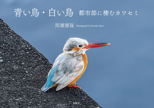 新刊情報｜鳥影社